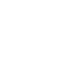 github logo and link